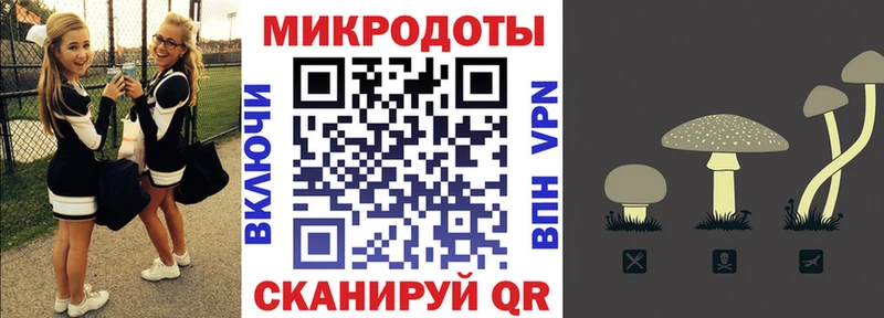 Галлюциногенные грибы мухоморы  Чайковский 